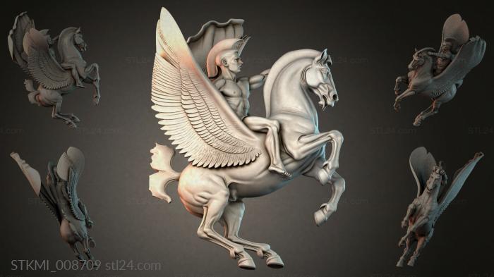 STKMI_008709