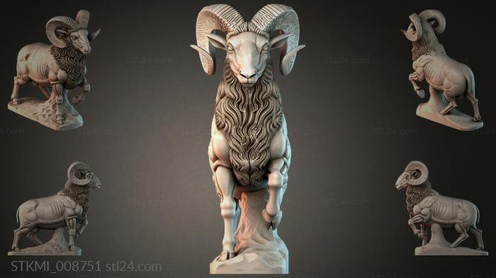 STKMI_008751