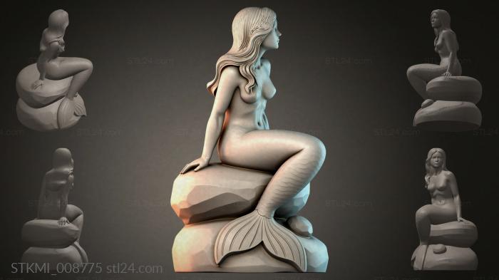 STKMI_008775