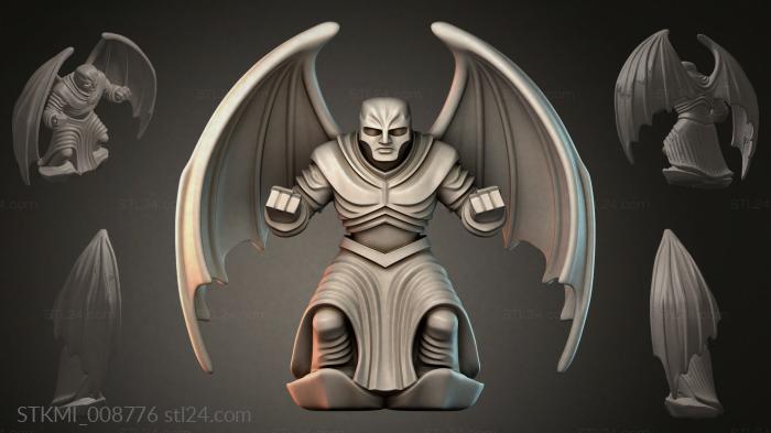 STKMI_008776
