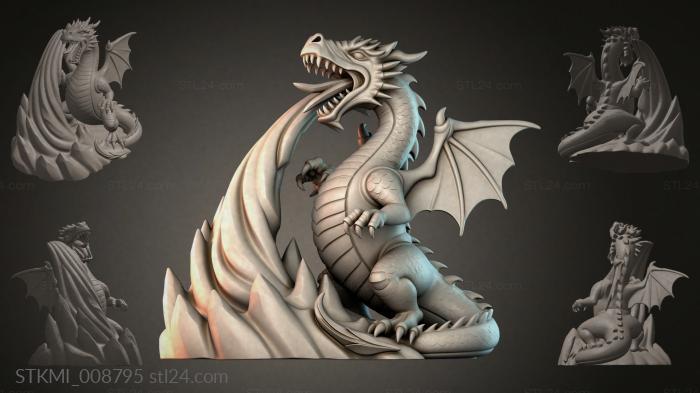 STKMI_008795
