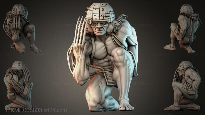 STKMI_008803