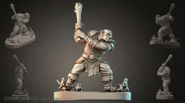 STKMI_008833