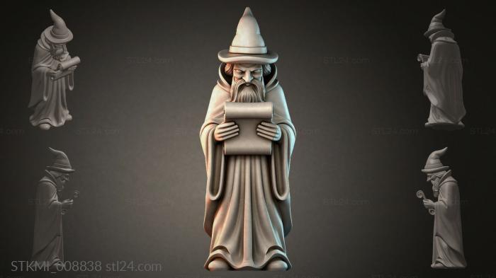 STKMI_008838