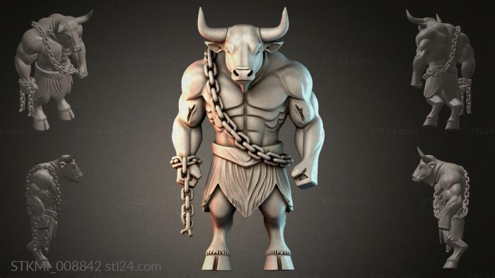 STKMI_008842 3d STL model