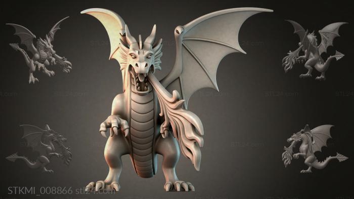 STKMI_008866