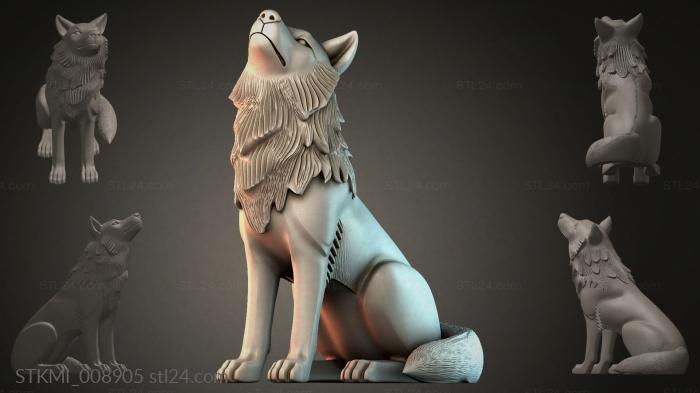 STKMI_008905
