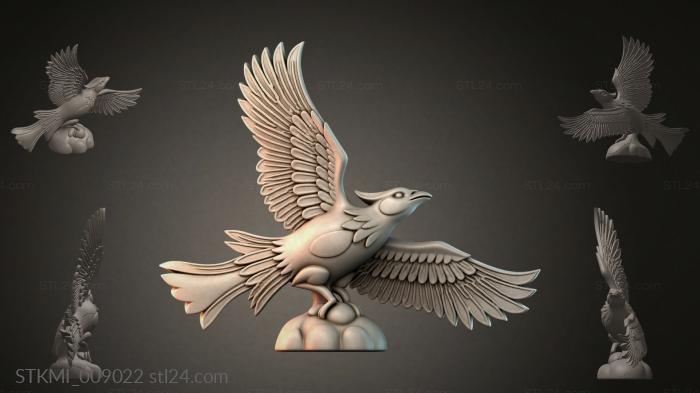 STKMI_009022
