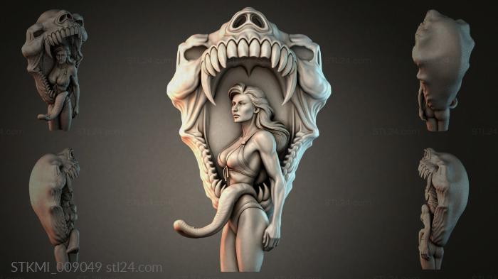 STKMI_009049