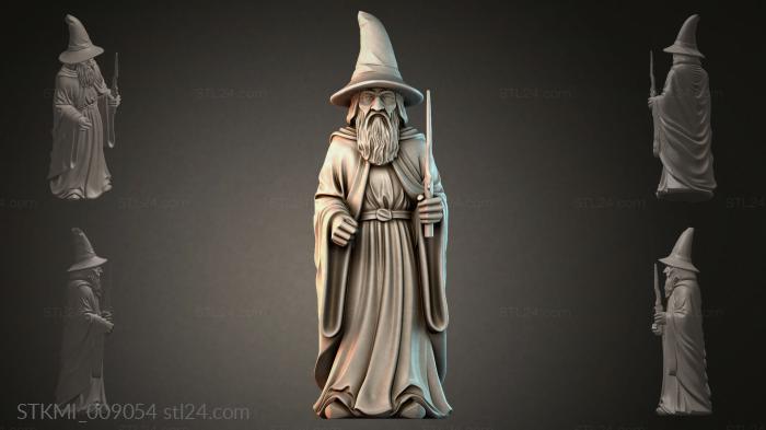 STKMI_009054