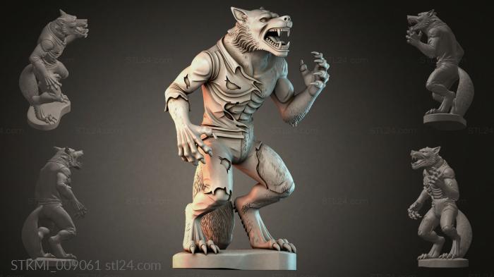 STKMI_009061