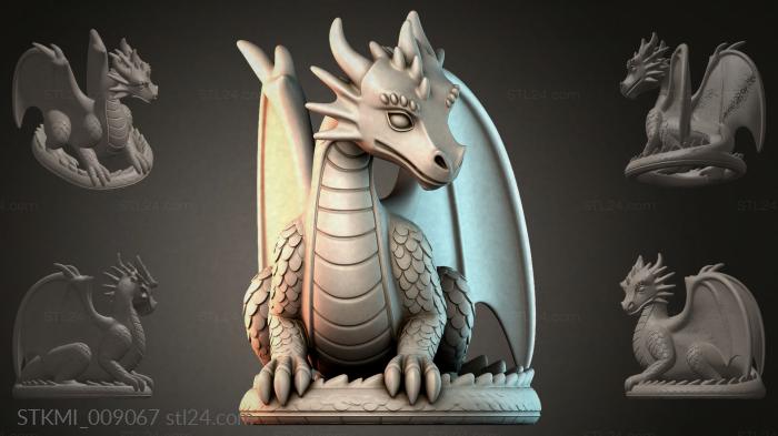 STKMI_009067
