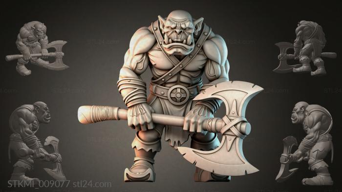 STKMI_009077