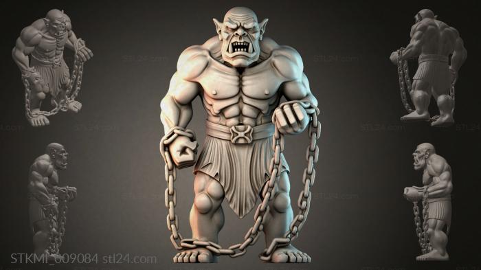 STKMI_009084