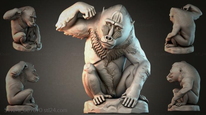 STKMI_009090