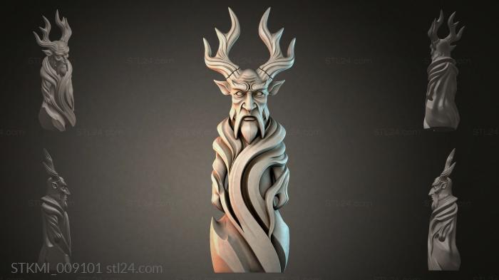 STKMI_009101