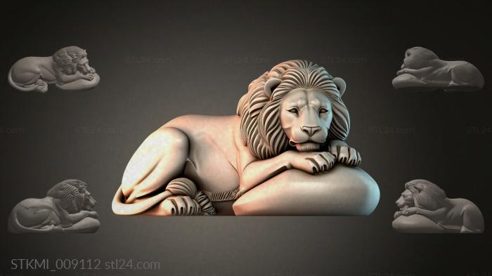 STKMI_009112
