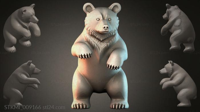 STKMI_009166