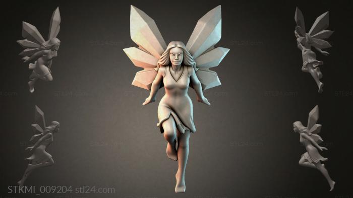 STKMI_009204