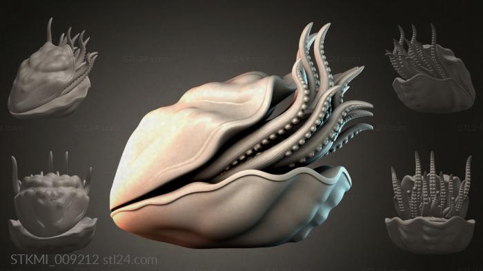 STKMI_009212