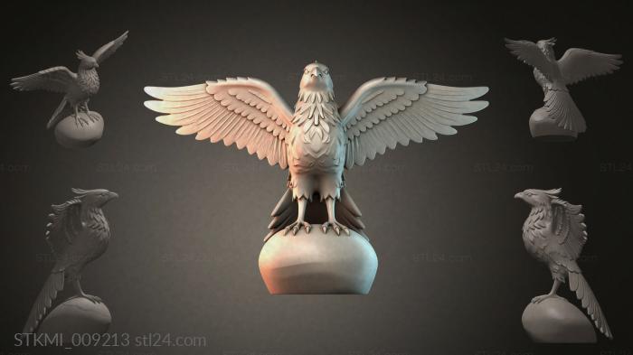 STKMI_009213