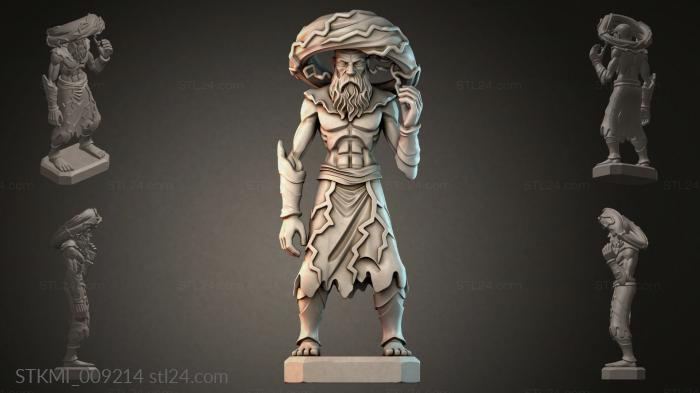 STKMI_009214