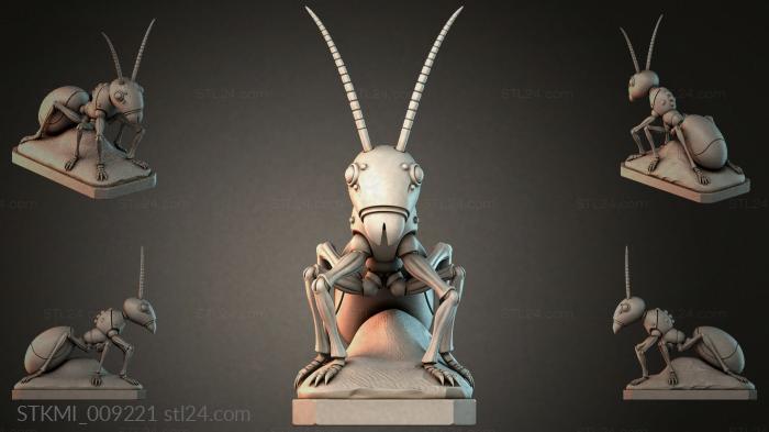 STKMI_009221