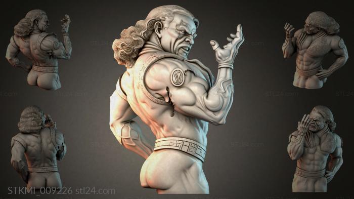 STKMI_009226