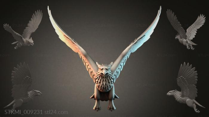 STKMI_009231