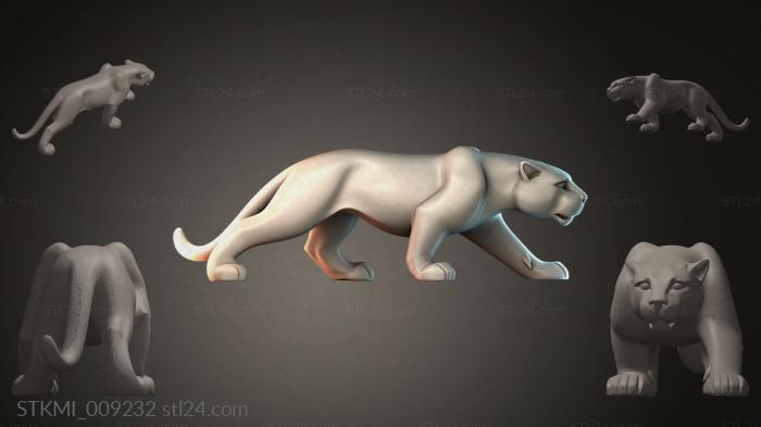 STKMI_009232