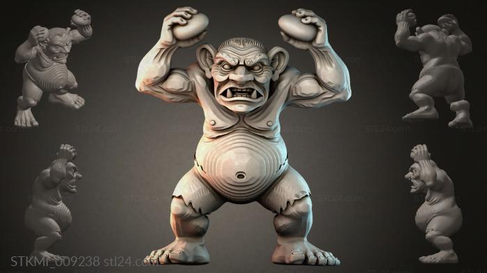 STKMI_009238