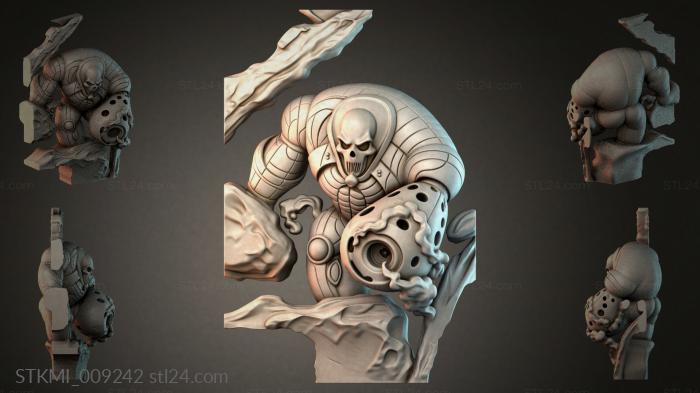 STKMI_009242