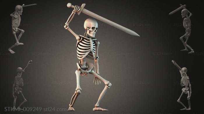 STKMI_009249