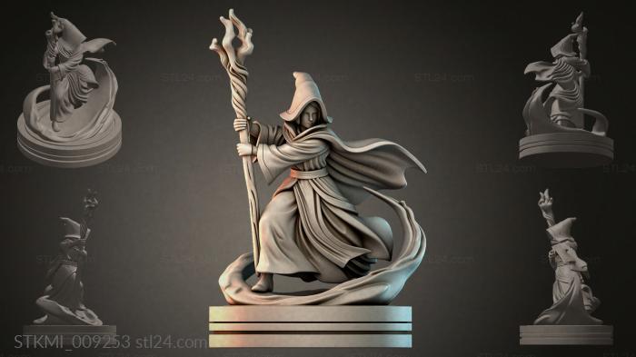 STKMI_009253