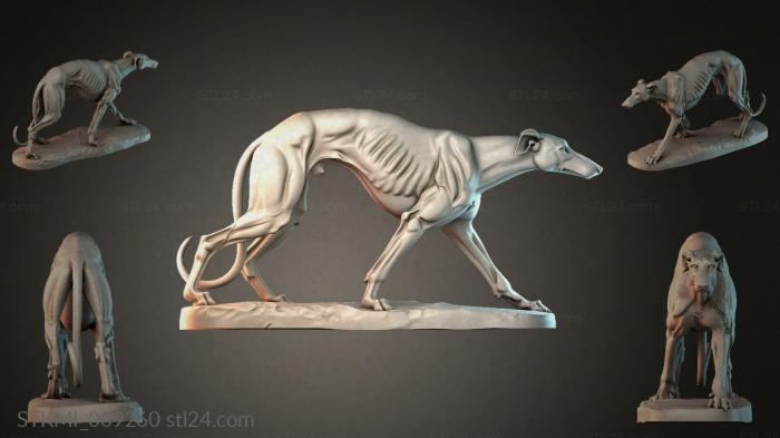 STKMI_009260