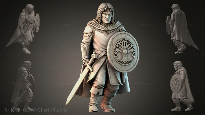 STKMI_009273