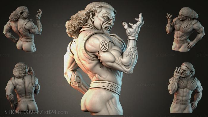 STKMI_009277