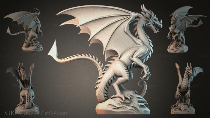 STKMI_009297