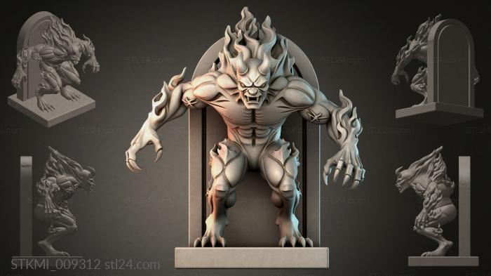 STKMI_009312