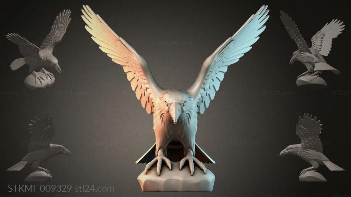 STKMI_009329