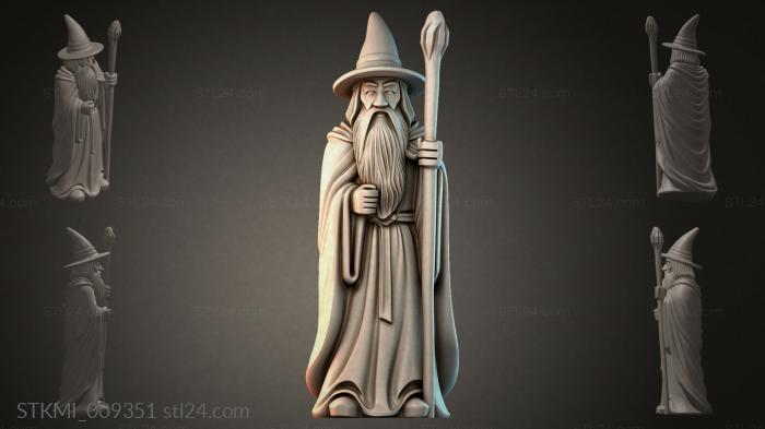STKMI_009351