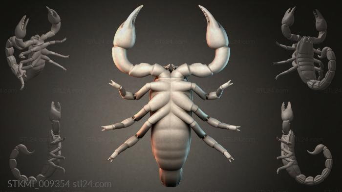 STKMI_009354