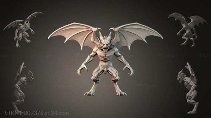 STKMI_009376