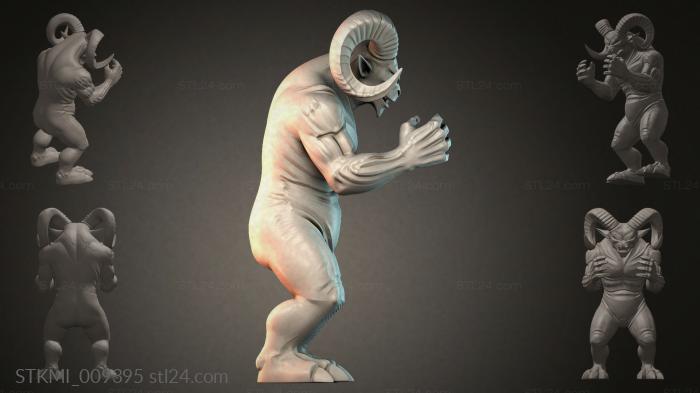 STKMI_009395