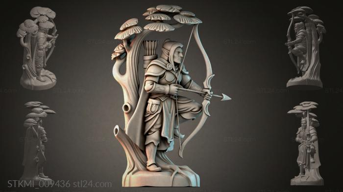 STKMI_009436