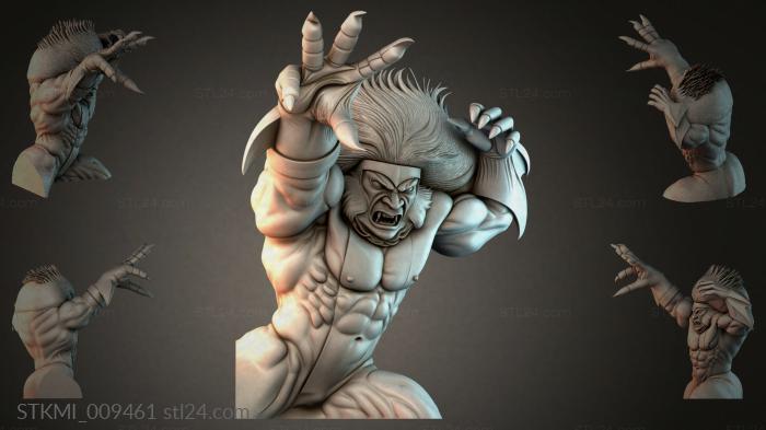 STKMI_009461