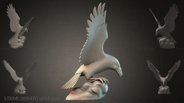 STKMI_009470