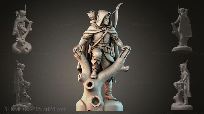 STKMI_009485