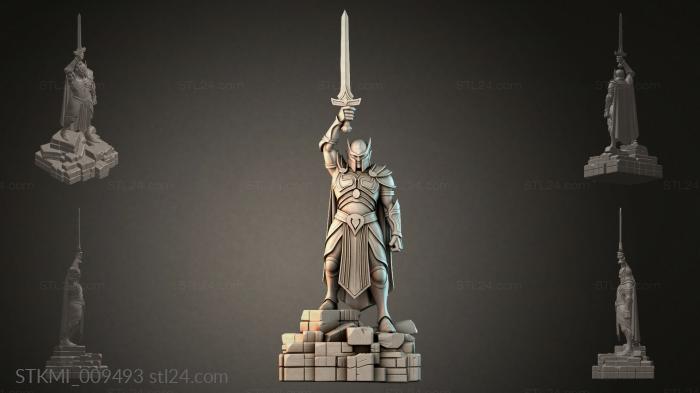 STKMI_009493