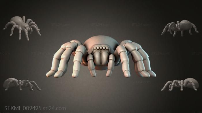 STKMI_009495